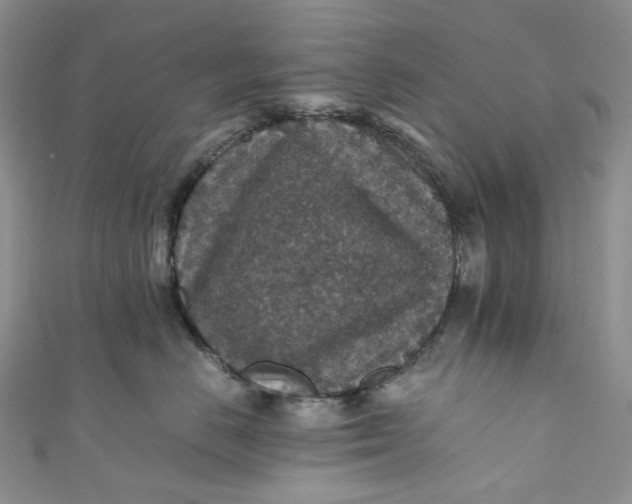 X0000110890670200907021518