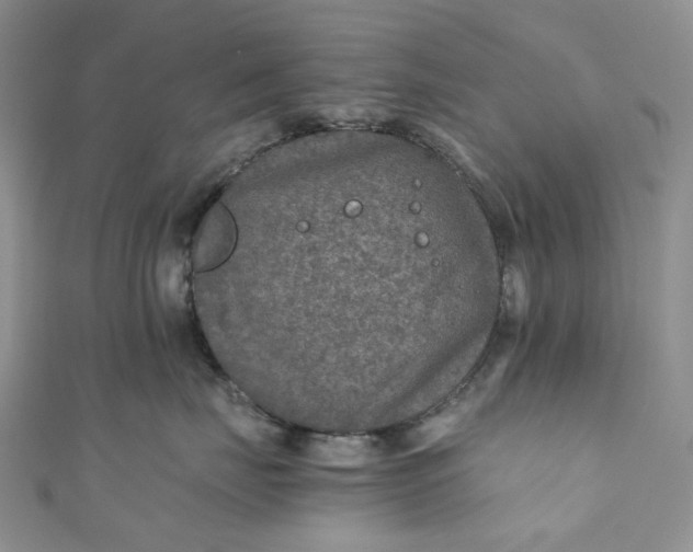 X0000110890671200907021518