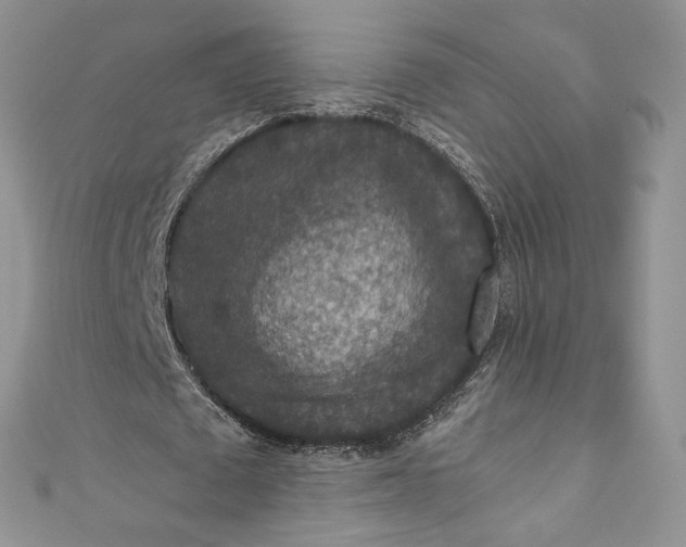 X0000110890673200907021518