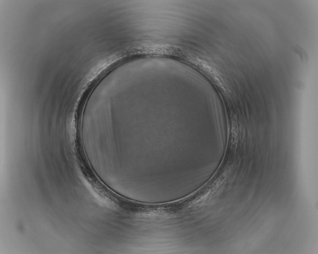 X0000110890674200907021518