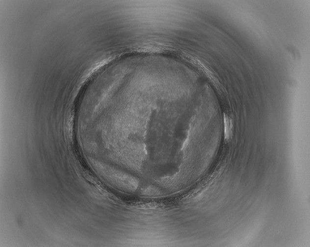 X0000110890675200907021518