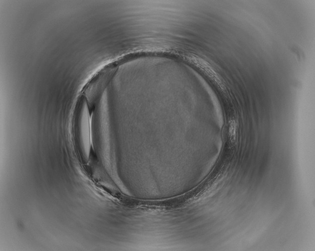 X0000110890676200907021518