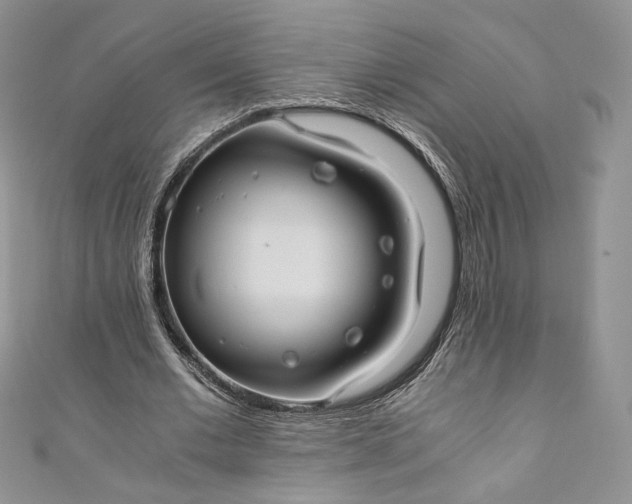 X0000110890677200907021518