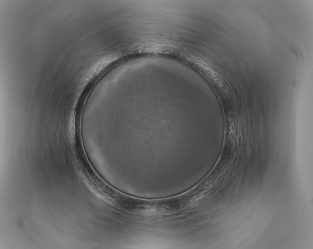 X0000110890678200907021518