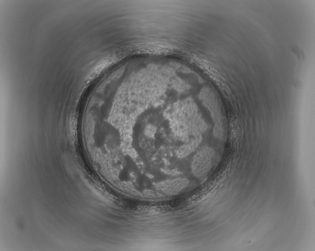 X0000110890679200907021518