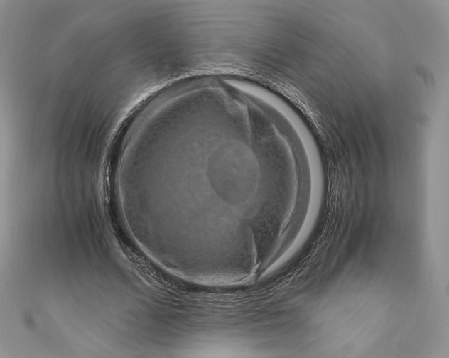 X0000110890680200907021518