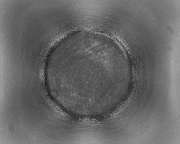 X0000110890681200907021518