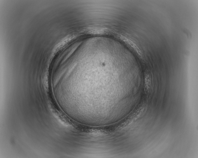 X0000110890682200907021517