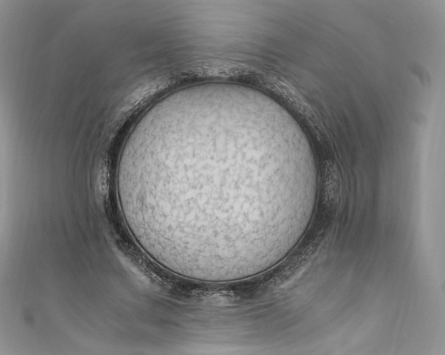 X0000110890683200907021517