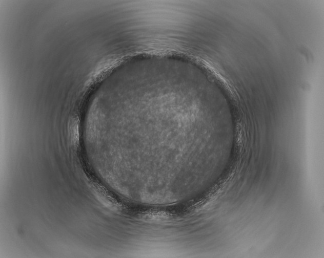 X0000110890685200907021517