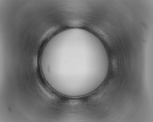 X0000110890686200907021517