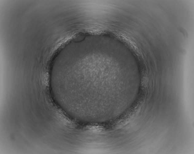 X0000110890689200907021517