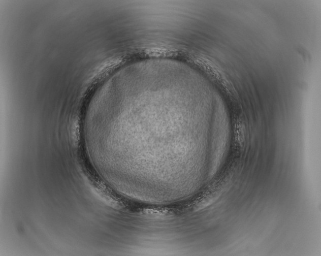 X0000110890690200907021517