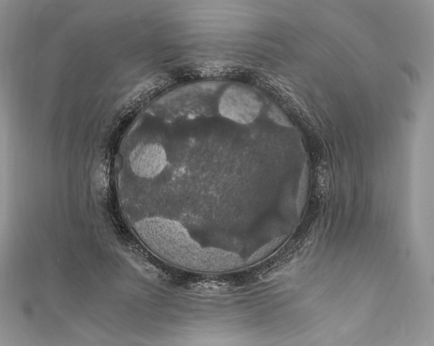 X0000110890691200907021517