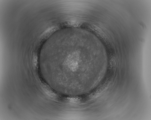 X0000110890693200907021517