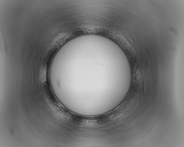 X0000110890694200907021517