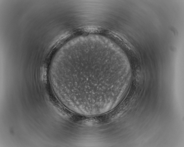 X0000110890696200907021517