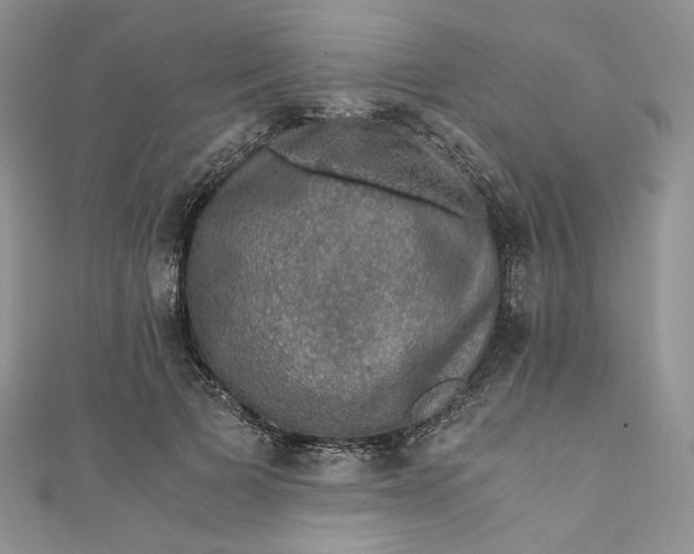 X0000110890697200907021517