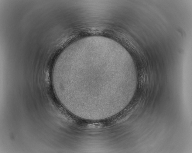 X0000110890700200907021517