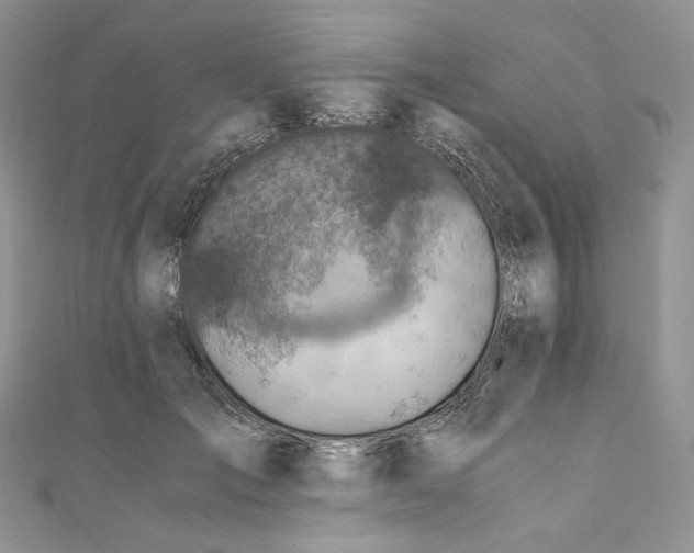 X0000110890701200907021517