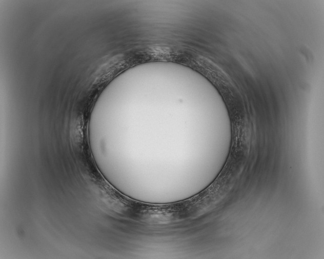 X0000110890702200907021517