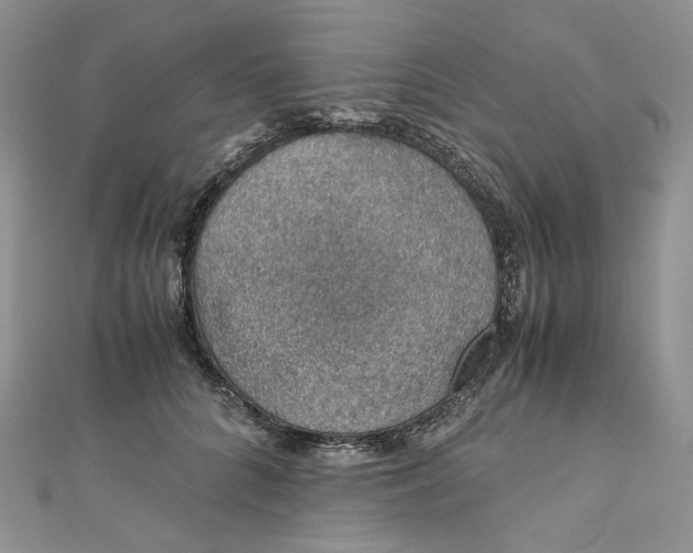 X0000110890704200907021517