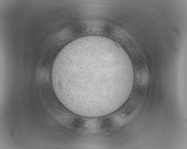 X0000110890705200907021517