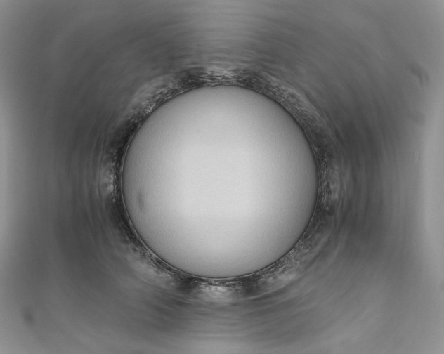 X0000110890706200907021517