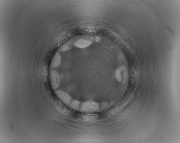 X0000110890707200907021517