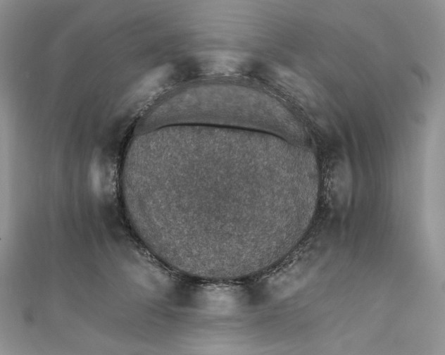 X0000110890708200907021517