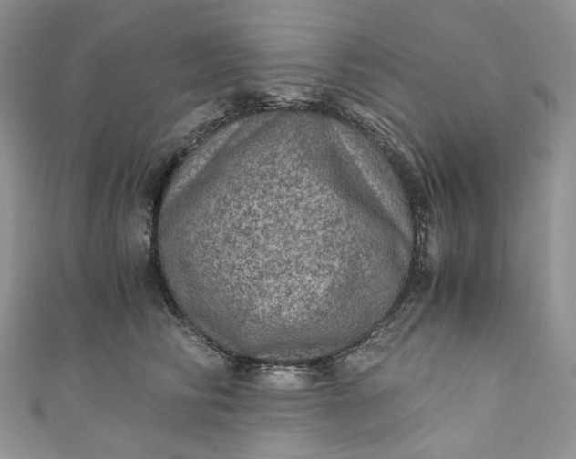 X0000110890710200907021517