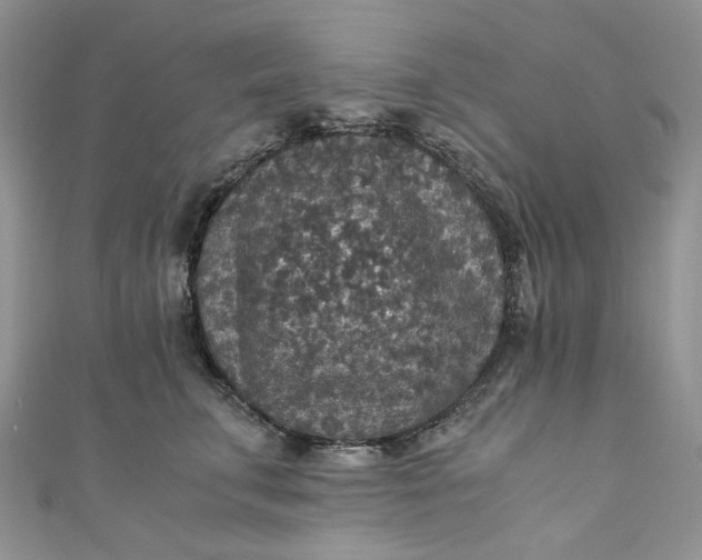 X0000110890711200907021517