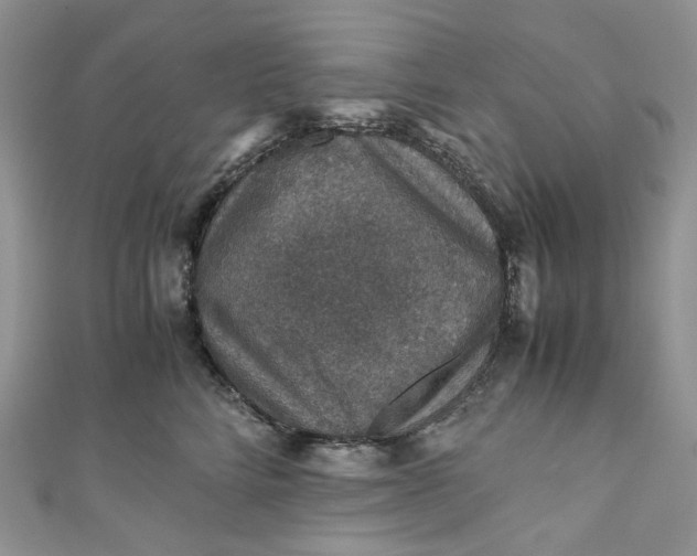 X0000110890712200907021517