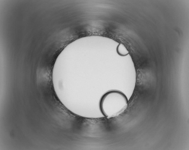 X0000110890713200907021517