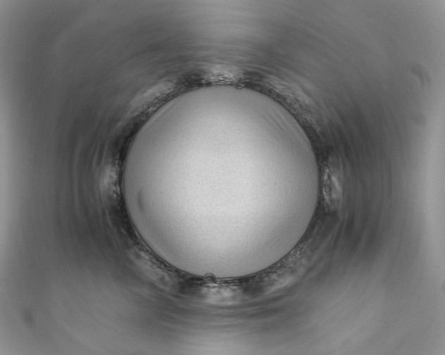 X0000110890714200907021517