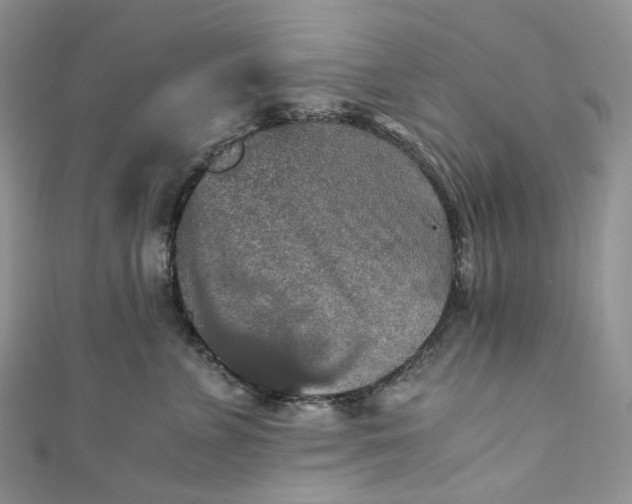 X0000110890715200907021517