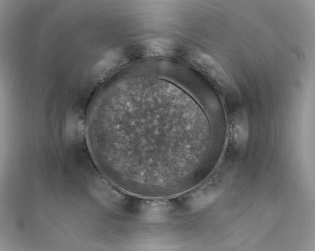 X0000110890716200907021517