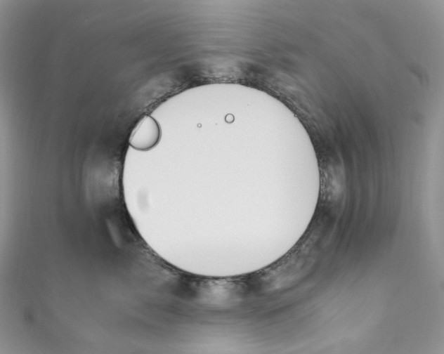 X0000110890717200907021517