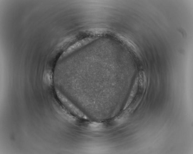 X0000110890718200907021517