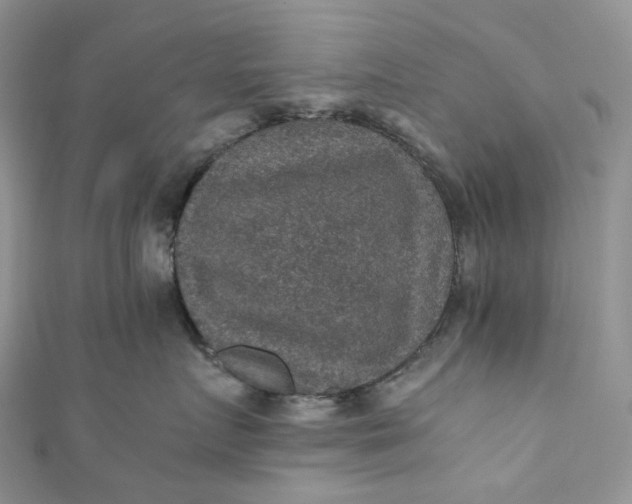 X0000110890719200907021517