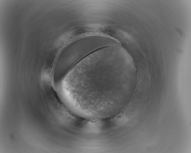 X0000110890720200907021517