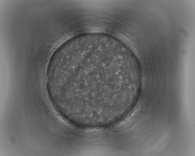 X0000110890721200907021516