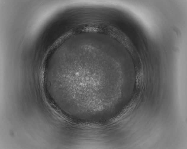 X0000110890722200907021516