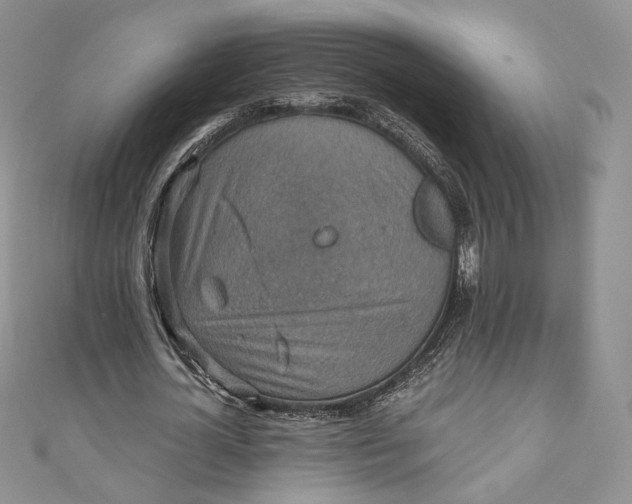 X0000110890724200907021516