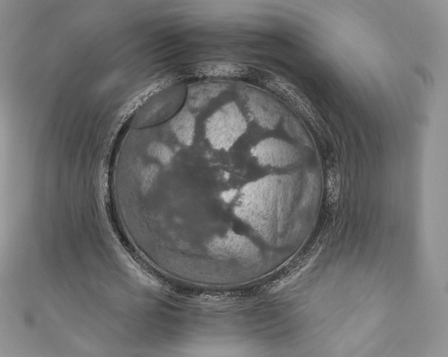 X0000110890725200907021516