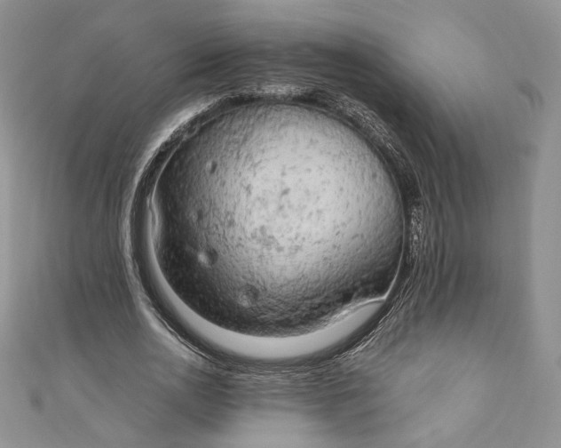 X0000110890726200907021516