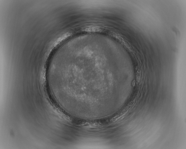 X0000110890727200907021516