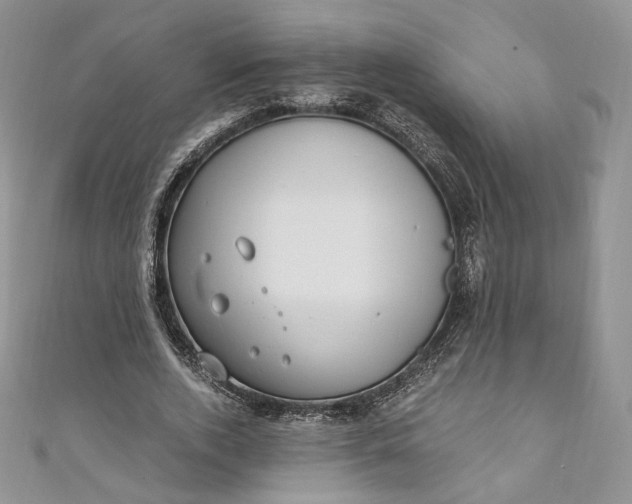 X0000110890728200907021516