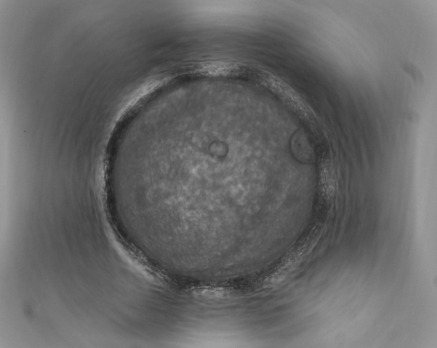 X0000110890730200907021516