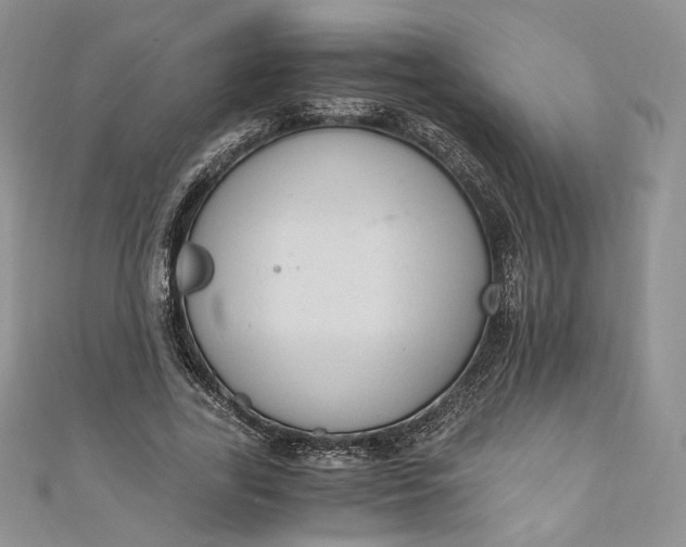 X0000110890731200907021517